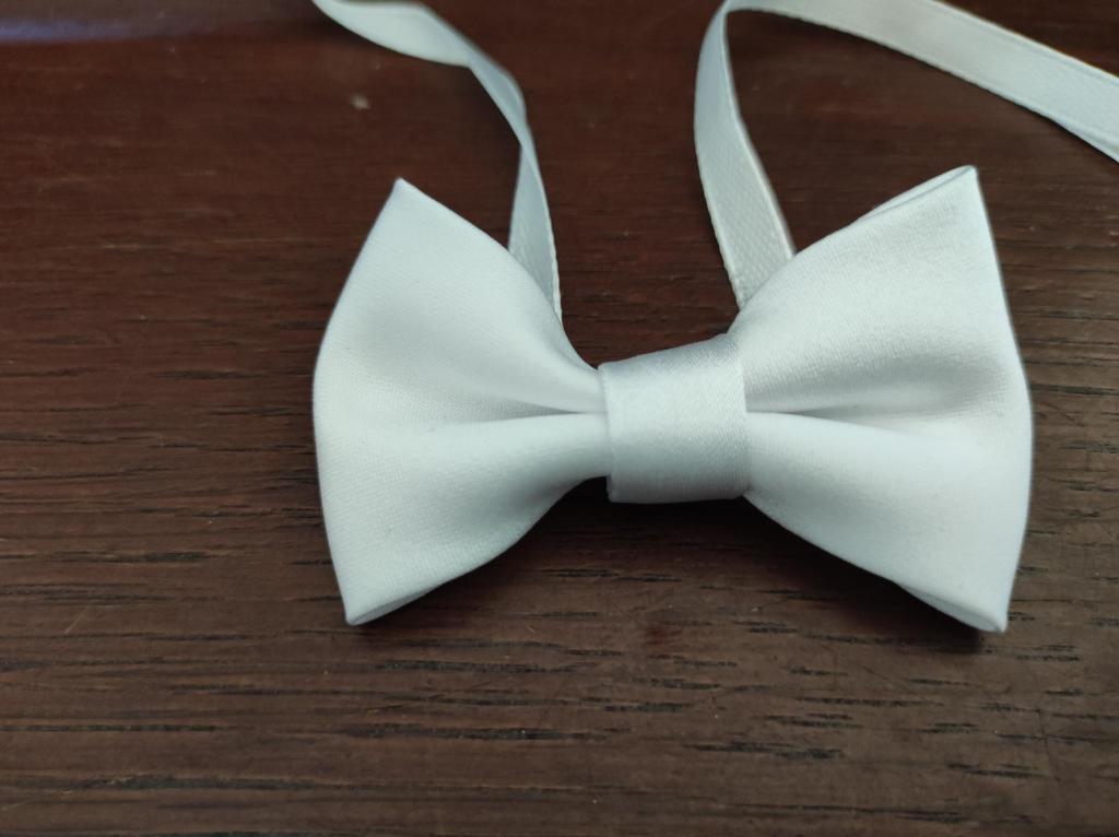 papillon bianco